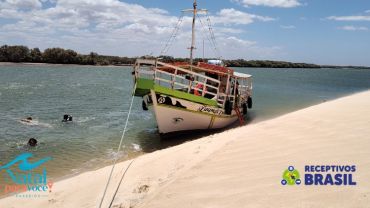 GALINHOS COM BARCO